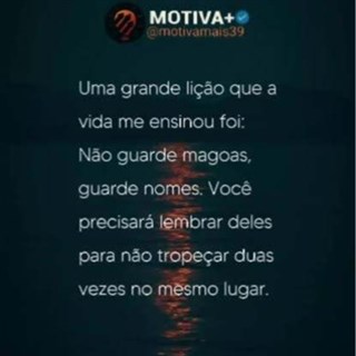ONaveganteBr