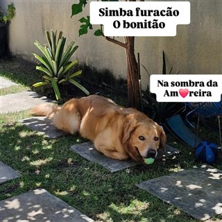 MAZAH