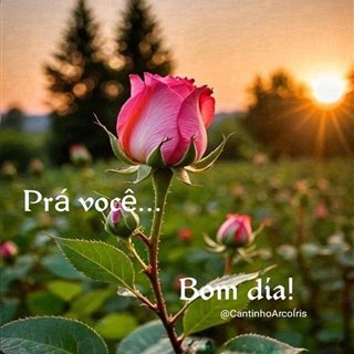 Rosangela-70