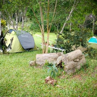 Camponês
