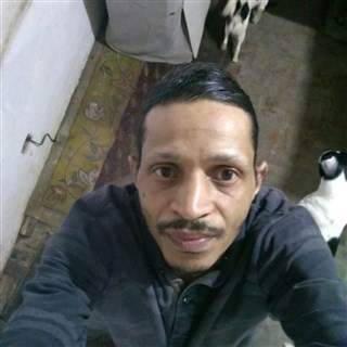 Bruce-19