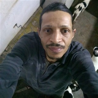 Bruce-19