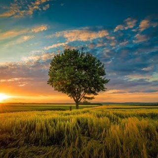 João_carlos-2