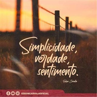 ONaveganteBr
