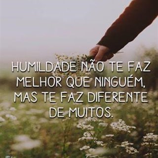 ONaveganteBr