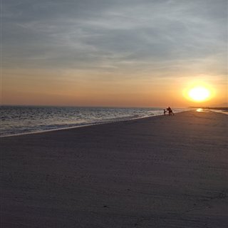 Homemrj-5