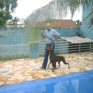 diegobabdalla