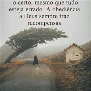 ONaveganteBr