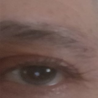 Alexandre-369
