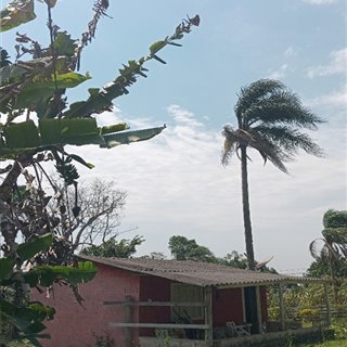 Felipe-714