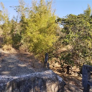 LuizGuimarães