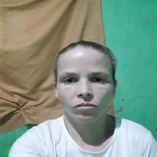 Geisilane