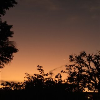 Lulinda-2